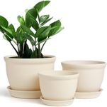 FAMILY Plant Planter 6 Piece Plastic Planter Set 2 Each 7.8in 6.6in 5.5in with Multiple Drainage Holes and Tray for All Home Garden Flowers and Succulents, Cream Color