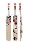 DSC Roar Hunter Kashmir Willow Cricket Bat, Size - 2