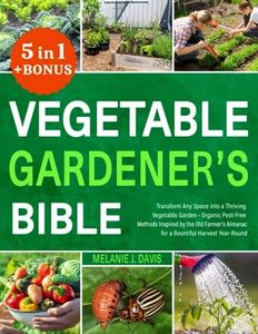 Vegetable 