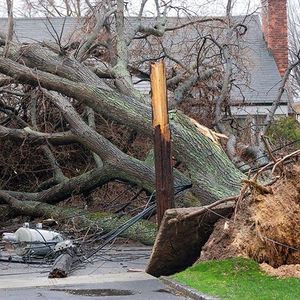 Uniden Bearcat BCT15X Radio Scanner – Mobile/Base Police Scanner