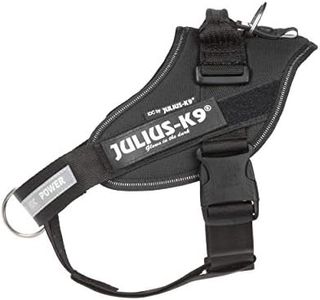 Julius-K9,