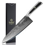 Sunnecko Kitchen Knife 8 inch, Professional Chef Knife with 67-Layer Damascus Steel VG-10 Blade, Damascus Knife with Ergonomic Handle Chopping Knife, Sharp Knife with Gift Box Meat Knife