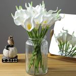 TIED RIBBONS Silk 10 Pcs Artificial Calla Lily Flowers Bunch For Vase And Flower Pots (33 Cm Each, White) - Home Decor Item For Centerpiece Living Room Corner Table Decorations (Pot Not Included)