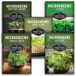 Survival Garden Seeds Microgreens 5 Pack (Seeds Only) - Plant, Sprout, and Grow a Mix of Microgreen Plants in Your Kitchen or on Your Windowsill - Arugula, Broccoli, Radish, Pea, Sunflower Seed