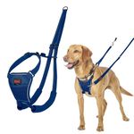 Halti No Pull Harness - Stop Your Dog Pulling on the Lead. Adjustable, Lightweight and Easy to Use. Reflective Dog Training Harness for Medium Dogs (Size M, Cobalt Blue)