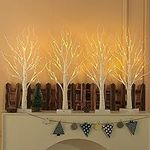 NOWSTO Lighted Birch Tree, 4 Pack 2