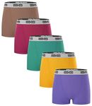 BAMBOO COOL Womens Boxers Ladies Shorts Underwear Soft Stretch Boyshorts for Women 5er Pack