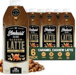 Elmhurst 1925 Caramel Cashew Latte – Plant-Based, Vegan, Dairy-Free Plant Milk Latte Made of Cashew Milk, Cold Brew Premium Arabica with 95mg Caffeine & Sweet Caramel Notes – 25.4oz (Pack of 6)