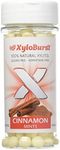 Focus Nutrition, XyloBurst Sugar-Free Xylitol Mint Candy Jar, Cinnamon Mints, 200 Pieces