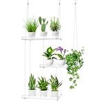IWOLOMI Window Plant Shelves, Acryl