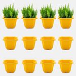 YUCCABE ITALIA SHERA Octa Square 12 Inch Planter 12 Pices Set of Plastic Flower Pot Suitable for Indoor and Outdoor Garden Premium Lightweight Pot for Plants (Yellow)