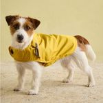 Rosewood Joules Unisex Antique Gold Water Resistant Dog Coat, Mustard, Antique Gold, Medium