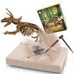 MUSCCCM Dinosaur Dig Kit Triceratops, Dino Skeleton Fossil Excavation Kit Realistic Dinosaur Model Educational Toys Gift for Children Boys Girls Christmas/New Year's Gift