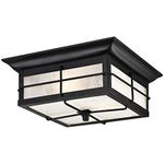 Westinghouse 6204800 Orwell Two-Light Outdoor Flush-Mount Fixture, Textured Black Finish on Steel with Frosted Seeded Glass