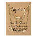 3Pcs Zodiac Necklace Gift for Women 12 Constellation Pendant Necklace for Teen Girls Zodiac Valentine Gifts for Girlfriend (Aquarius)