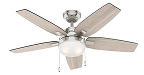 Hunter Ceiling Fans