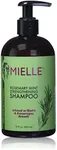 Mielle Organics Rosemary Mint Strengthening Shampoo Infused with Biotin, Cleanses and Helps Strengthen Weak and Brittle Hair, 12 Ounces