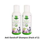 Boericke & Tafel India Anti-Dandruff Shampoo, 150Ml (PACk Of 2)