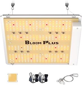 BLOOM PLUS