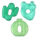 itzy ritzy Water-Filled Teethers - Cold Cutie Coolers Textured On Both Sides to Massage Sore Gums & Emerging Teeth - Can Be Chilled in Refrigerator, Set of 3 Green Cactus Water Teethers