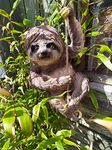 Animal Crackers Large climbing Sloth on rope tree garden ornament decoration Sloth lover gift