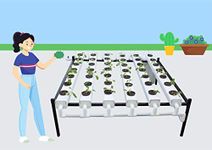 WE Hydroponics 42 Planter Hydroponics (NFT/DFT) System – Home Hydroponics kit with Stand