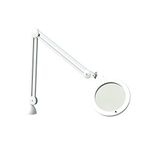 Daylight Company Magnifying Lamp, Metal, White