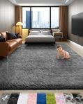 Ophanie Area Rugs for Bedroom Livin