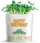 Happy Birthday Greeting Card by GIFT A GREEN | Greeting Cards with Organic Microgreens! Just Like A Post Card, Simply Mail and Recipient Gets to Grow & Eat | Cards for All Occasions | 1 Pack