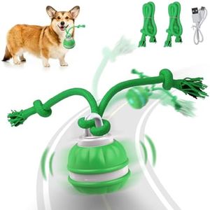 Salodal Interactive Dog Toys Rolling Ball for Puppy/Small Dogs,Peppy Pet Ball for Dogs,Motion Activate,Automatic Moving Dog Toy,USB Rechargeable