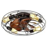 19.7" Caged Ceiling Fan with Light,