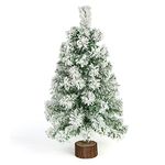 VEYLIN 2FT Christmas Tree Snowy Covered Small Tabletop Xmas Tree For Home Office Decoration