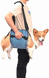 Dog Carry Sling, Emergency Backpack Pet Legs Support & Rehabilitation Dog Lift Harness for Nail Trimming, Dog Carrier for Senior Dogs Joint Injuries, Arthritis, Up and Down Stairs (L, Blue)