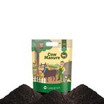 Ugaoo Cow Dung Manure Fertilizers for Plants & Home Gardening - 1 kg