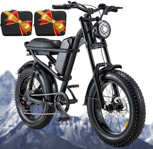 1500W Mope