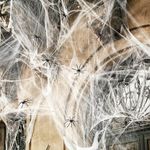 Halloween Decorations Outdoor Indoor,100g Cobwebs&30pcs Spooky Spiders Small,Stretchable Spider Web&Plastic Fake Spiders Halloween Decor Set,Hocus Pocus Halloween Props Door Yard Home Garden Party