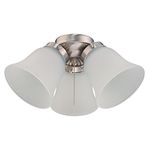 Ceiling Fan With Light Brushed