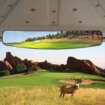 HKOO Golf cart Rear View Mirror,16.5" Extra Wide 180 Degree Panoramic Rear View Mirror For Golf Cart EZGO Club Car Yamaha