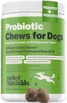 Deley Naturals Probiotics for Dogs 