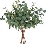 Beferr 6Pcs Artificial Eucalyptus S