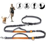 Mystery Hand Free Dog Lead, Dog Walking Belt Ajustable Dog Leash Waist Belt Pet Dog Leash Coupler Running and Jogging Lead Belt with Retractable Bungee, Reflective Stitching for up 110lbs Dogs