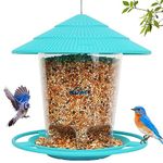 Hanging Bird Feeder