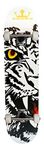 Krown Bengal Rookie Complete Skateboard, 7.5x31(KRRC-49)