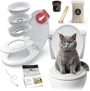 The Cat Th
