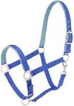 Tough 1 Nylon Padded Halter with Satin Hardware, Royal Blue, Horse