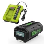 AYTXTG 40 Volt 6500mAh Lithium-Ion OP401 Compatible with Ryobi 40V Battery OP4026 OP40201 OP4040 OP40401 OP4050 OP4050A OP40501 Chargers