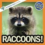 Raccoons!: A My Incredible World Picture Book for Children