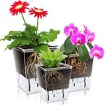 IWTTWY Self Watering Plant Pot Set Pack of 3, Modern Clear Planters for Indoor Plants with Reservoir and Wick Cord, Flower Pots for Orchid, African Violet, Rose, Aloe, Tulips, Peace Lily