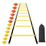 Agility Ladder Drills