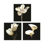 Flower Wall Decor for Bedroom Bathroom, Still Life Canvas Art Prints of White Tulip & Calla Lily Paintings, Elegant Floral Pictures Decor Artwork, Gallery Wrapped Gift, Inner Frame (12x12 Inches x3p)